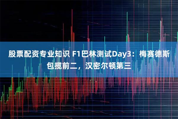 股票配资专业知识 F1巴林测试Day3：梅赛德斯包揽前二，汉密尔顿第三
