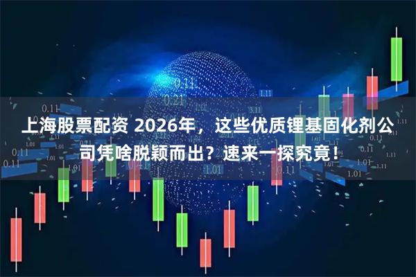 上海股票配资 2026年，这些优质锂基固化剂公司凭啥脱颖而出？速来一探究竟！